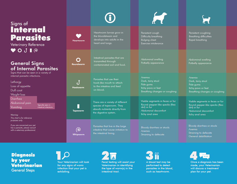 chart with information of internal parasites